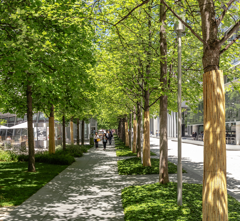sidewalk on a sunny day